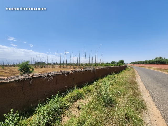 Terrain de 73 354 m² à vendre – Route de l’Ourika Km 20 – Marrakech — مراكش