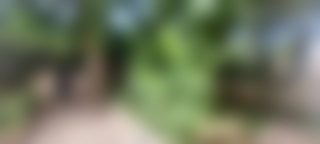 فيلا رحبة للكراء بحي حسان في الرباط — 2