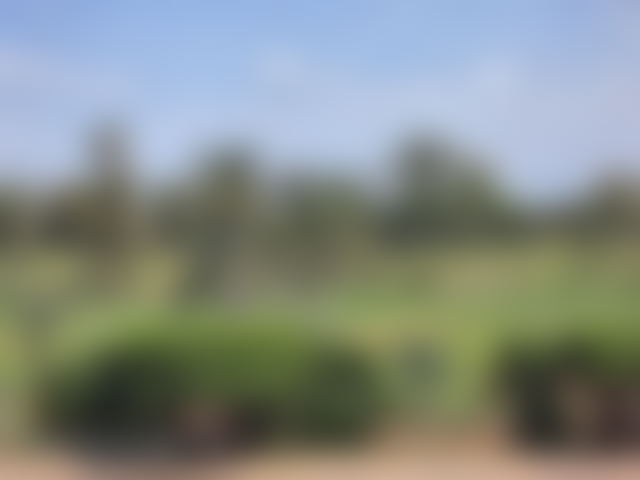 Terrain à vendre à Agdal, Marrakech, secteur golf prisé — Marrakech