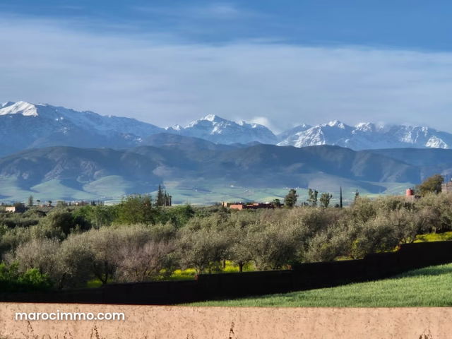 Votre seul vis à vis: l'ATLAS. VNA ok — Marrakech