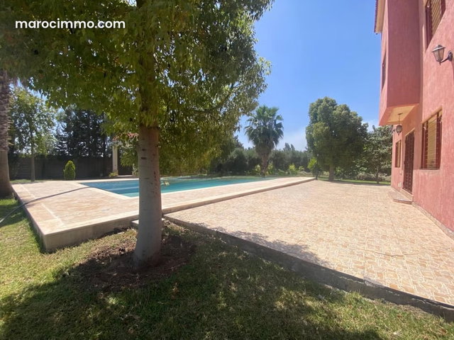 Oasis, lush green olive haven of peace — 4