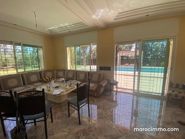 Oasis, lush green olive haven of peace — 3