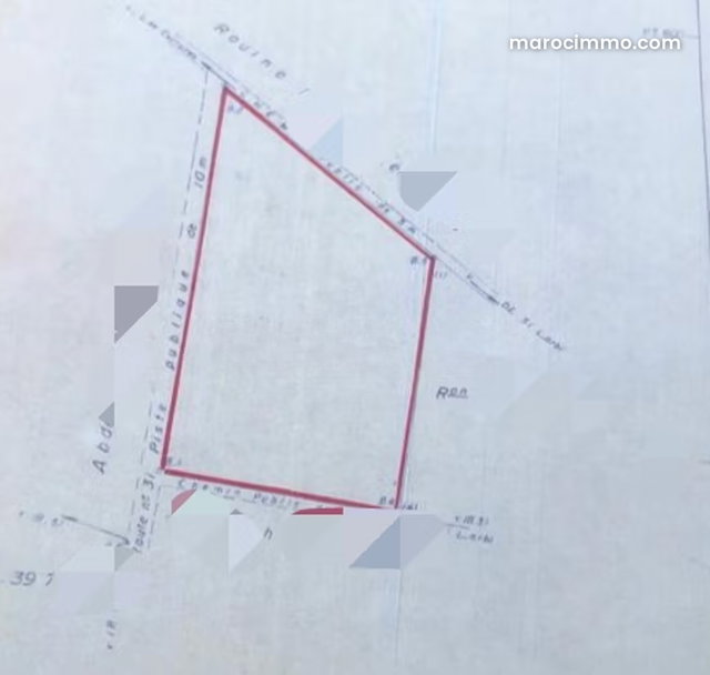 Terrain Zone SD1 Sur Route Ouarzazate — 3