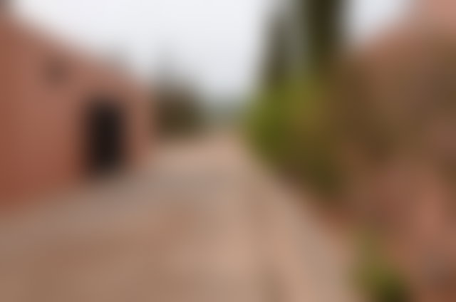 ضيعة منتجة 4.44 هكتار للبيع قرب تيزنيت — 3
