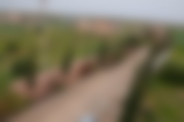 ضيعة منتجة 4.44 هكتار للبيع قرب تيزنيت — 2