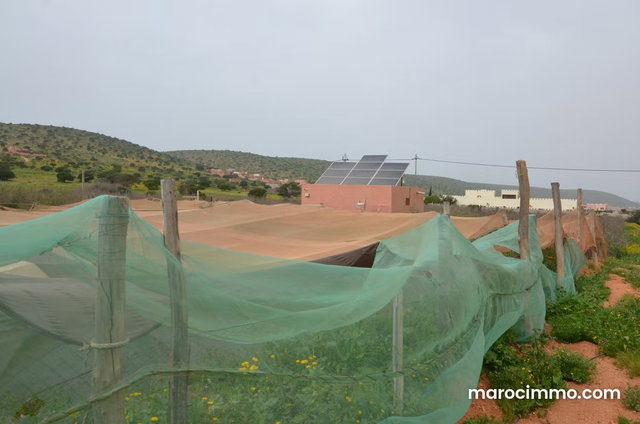 Domaine agricole de charme près de Tiznit — 5
