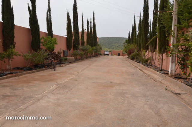 Domaine agricole de charme près de Tiznit — 4