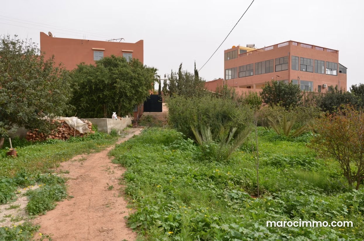 4.44 ha Agricultural Farm with 1,500 Productive Trees in Tiznit — Tiznit