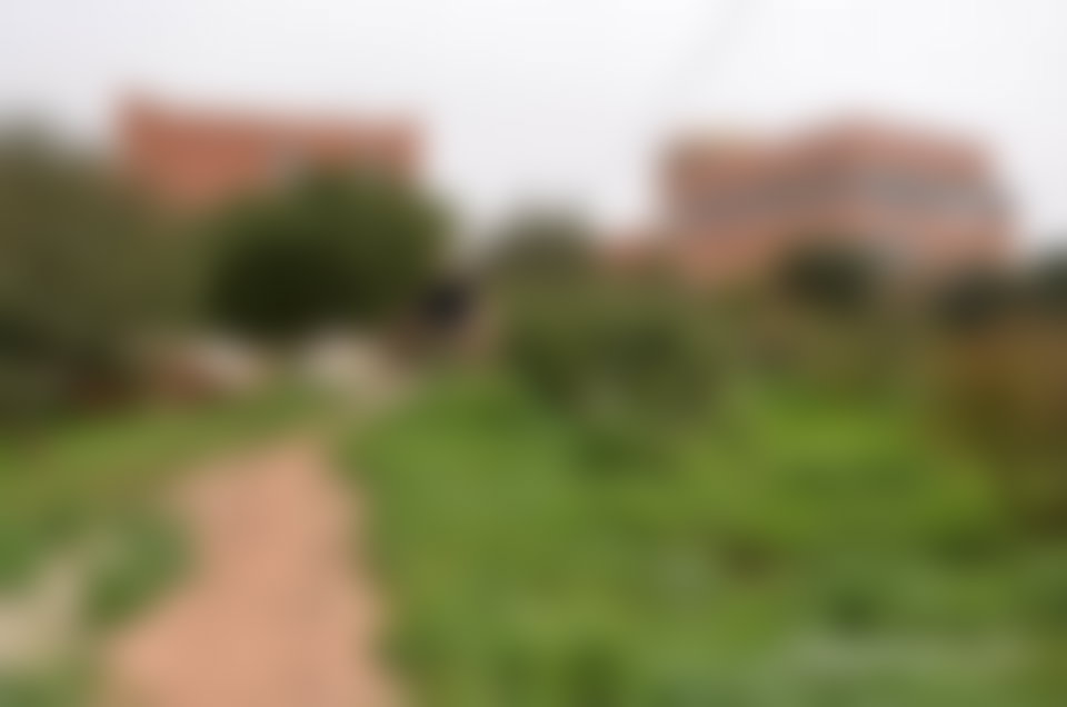 ضيعة منتجة 4.44 هكتار للبيع قرب تيزنيت