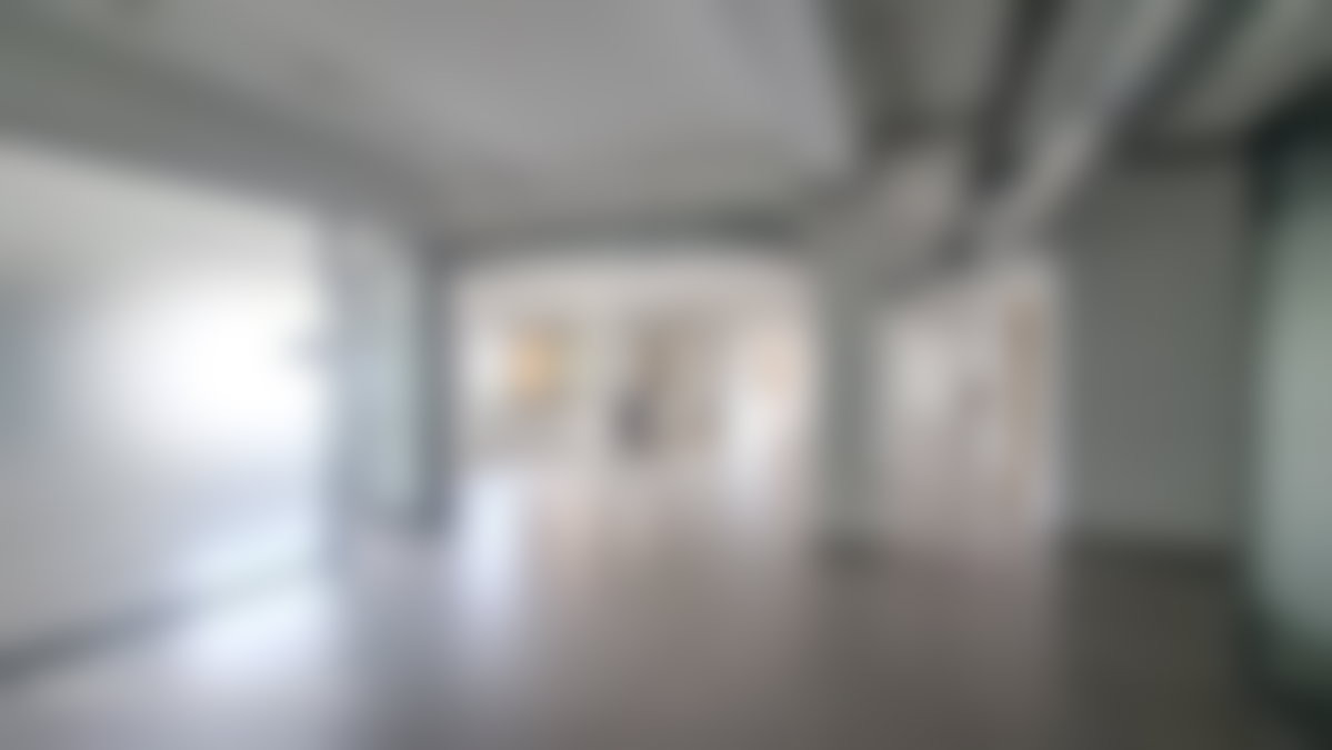 420 sqm Office in Racine, Casablanca: High Floor, Terraces