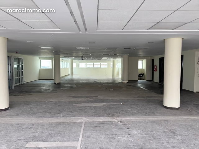 Beaux bureaux à louer à Racine. Surface totale 350 m² — 5