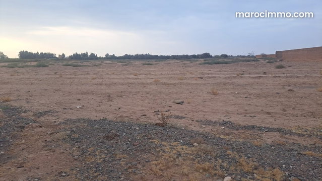 Terrain Titré de 7 Hectares à Vendre — 5