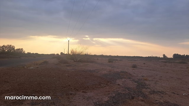 Terrain Titré de 7 Hectares à Vendre — 3