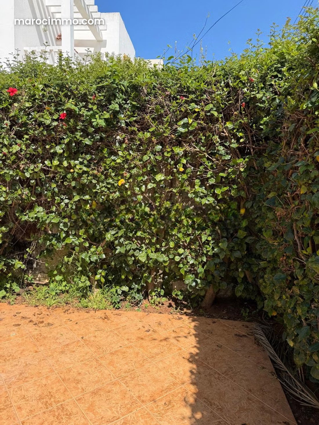 Terrain 812 m² avenue Al Arz, Riyad, Rabat — Rabat