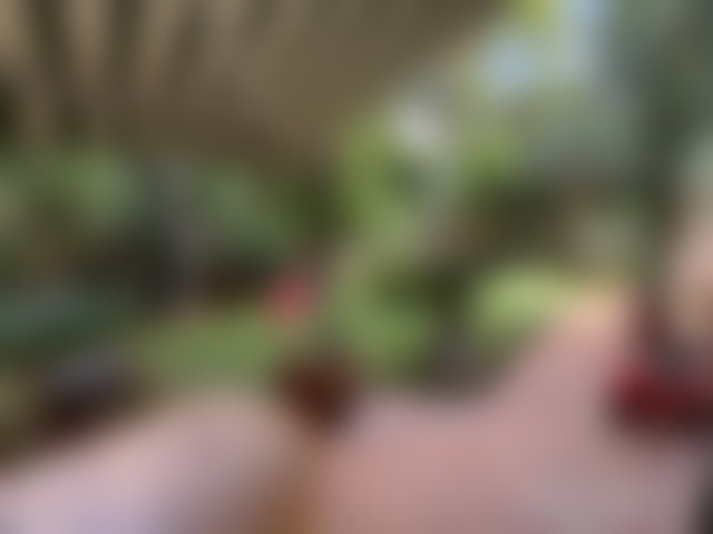 516 sqm Villa with Landscaped Garden in Laimoune, Casablanca — 4