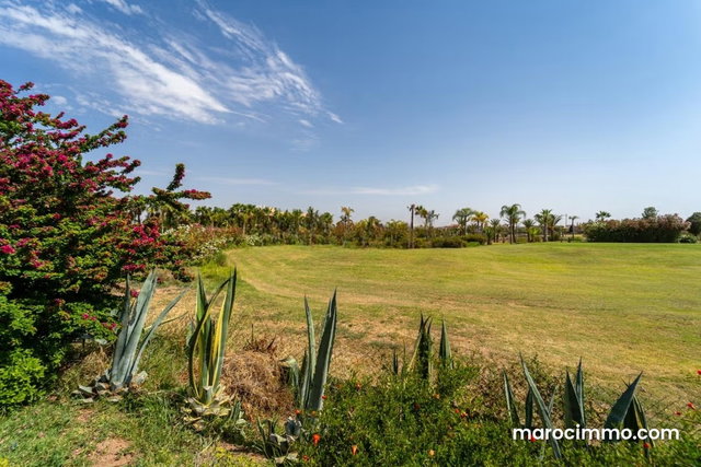 Marrakech I Argan Golf — 5