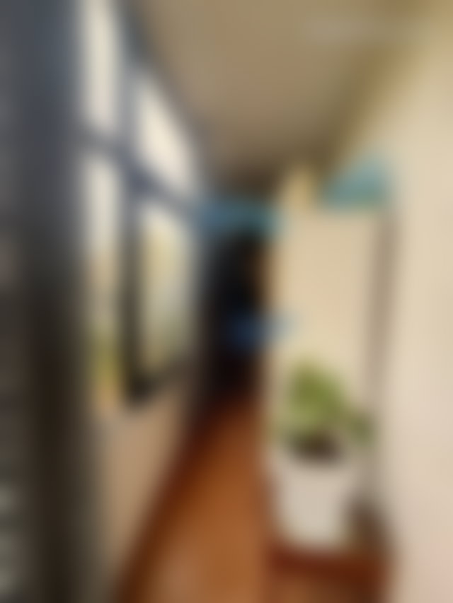 183 m² Apartment, 4 Bedrooms, Garden and Garage, Belvédère — 3