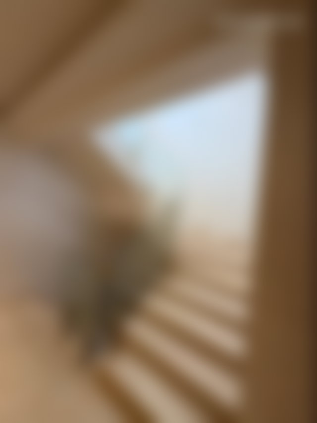 Villa 398 m² avec piscine à Dar Bouazza, vue ouest — 3