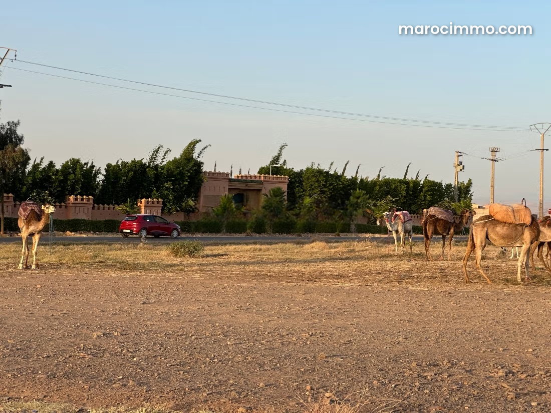 10,000 m² Plot in Ourika, Atlas Views and Absolute Tranquillity — Ourika