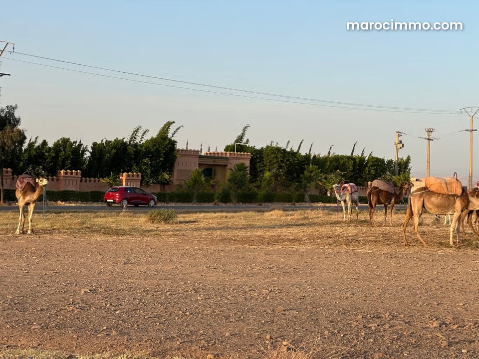 Vente de terrain à Ourika. Superficie 10000 m²