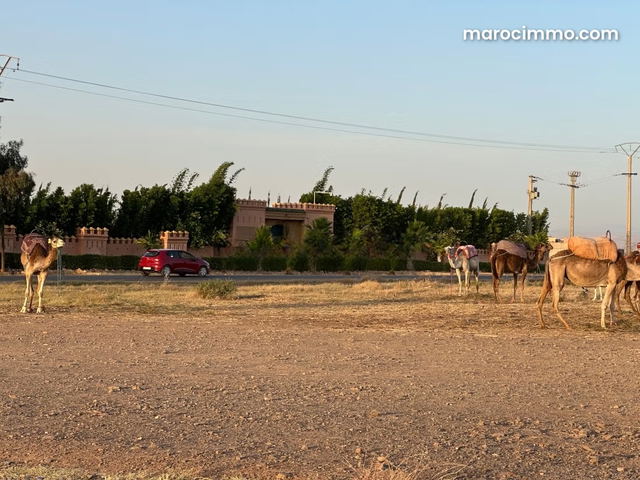 Vente de terrain à Ourika. Superficie 10000 m² — Ourika
