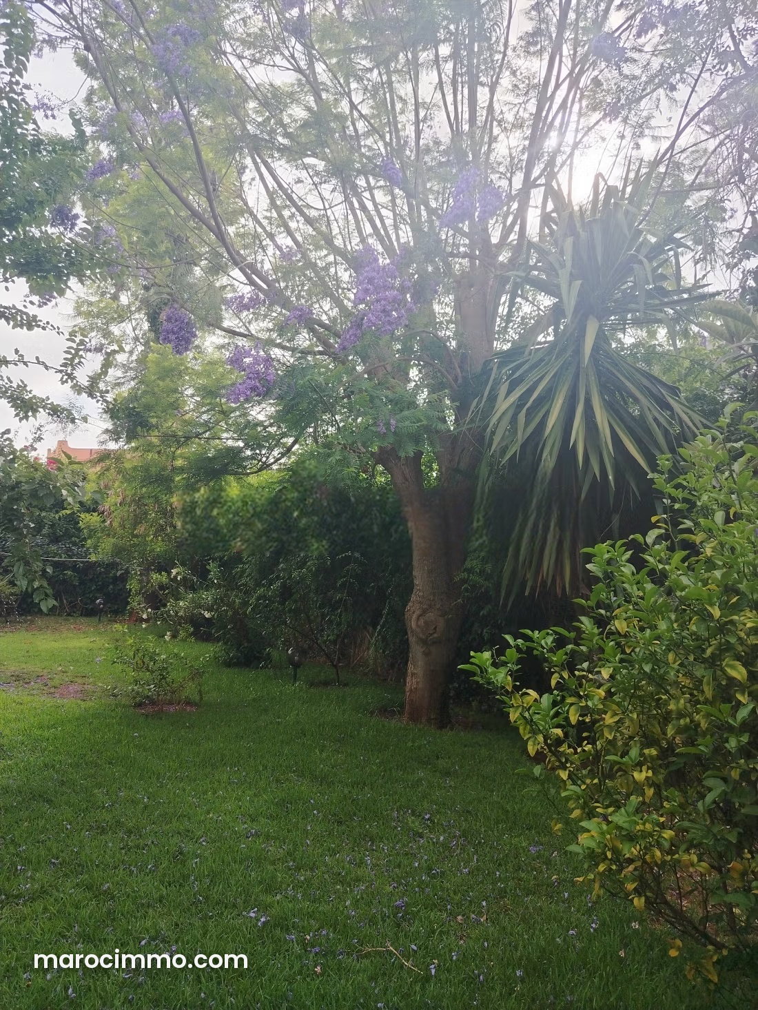 Villa 900 m² à louer, Riyad, Rabat, 6 chambres, jardin — Rabat