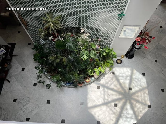 A vendre duplex 538m2 Racine — 5