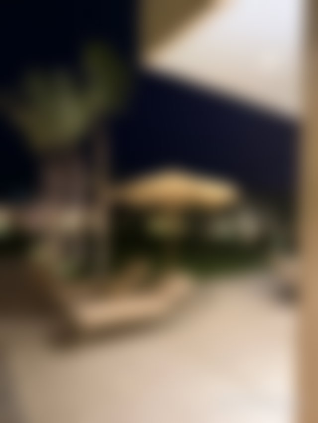 Single-storey villa on Route de l’Ourika, Marrakech, Atlas Mountain views — 4