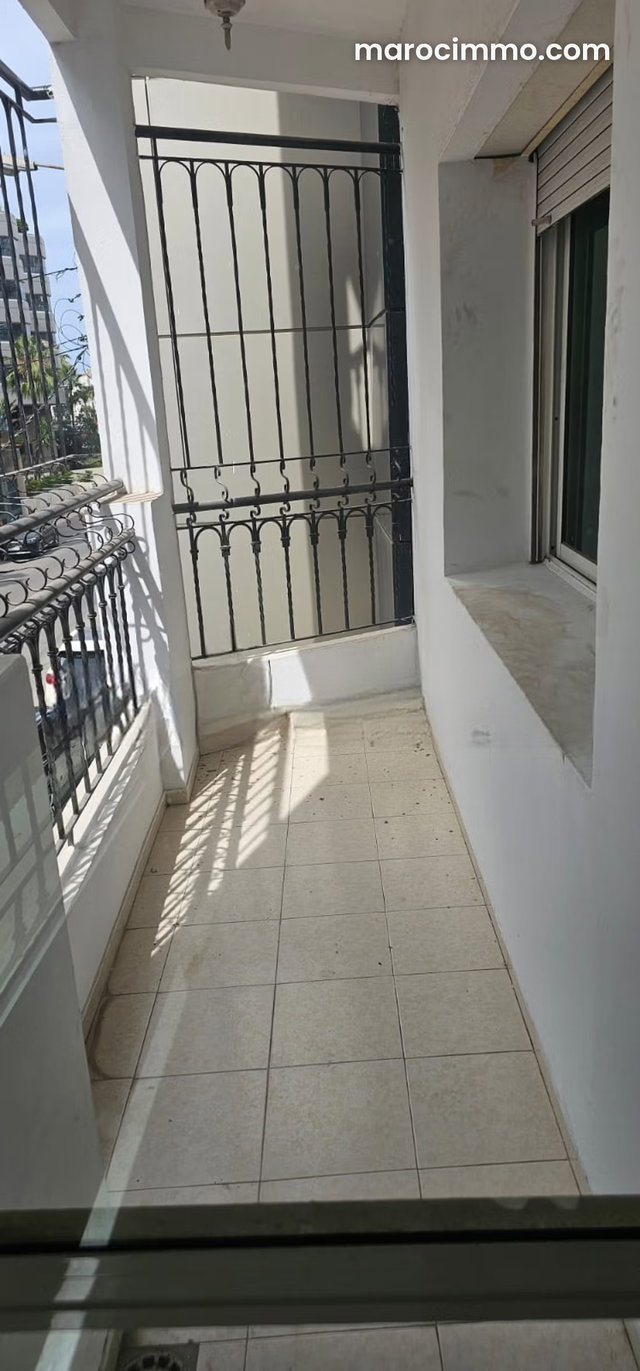 Appartement de Standing – Palmier — 4
