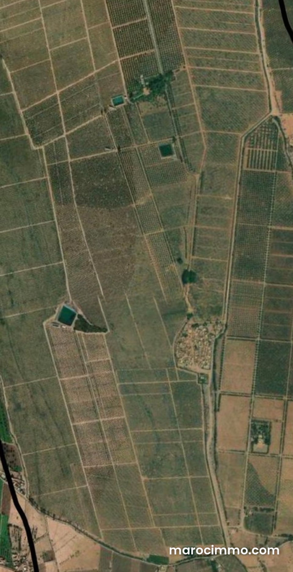 Terrain agricole Marrakech, ferme à vendre Marrakech