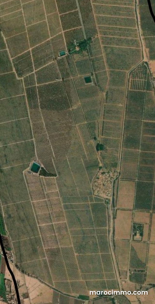 Terrain agricole Marrakech, ferme à vendre Marrakech — Marrakech