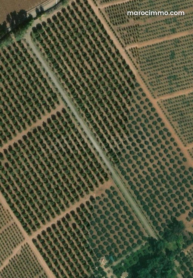 Terrain agricole Marrakech, ferme à vendre Marrakech — 2