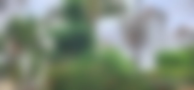 فيلا مفروشة فاخرة بحديقة وتراس للبيع في دار بوعزة — 3