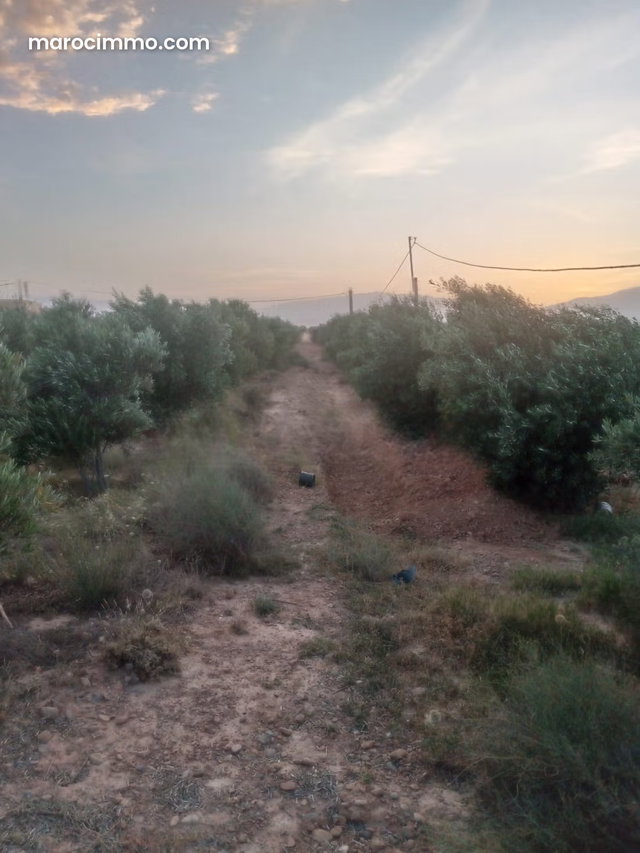 Une ferme située a otat lhaj boulmane — 5