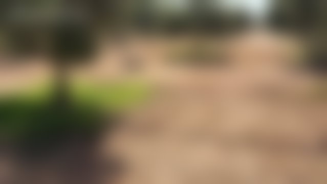 Terrain agricole 2,5 ha à vendre route de Ouarzazate Marrakech — 4