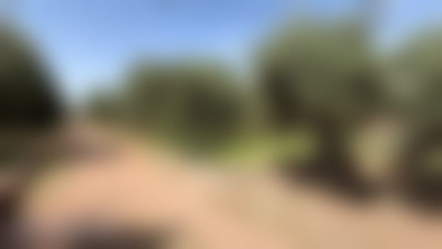Terrain agricole 2,5 ha à vendre route de Ouarzazate Marrakech — 3