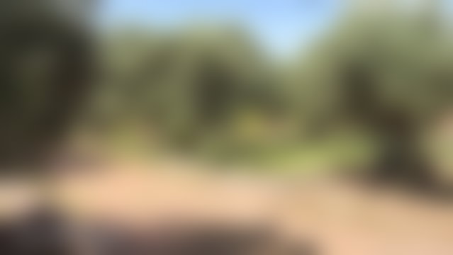 Terrain agricole 2,5 ha à vendre route de Ouarzazate Marrakech — 5