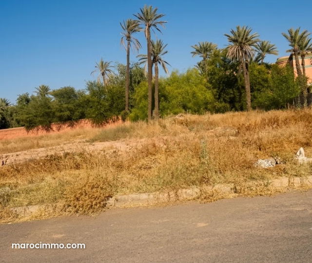 Terrain d’Exception à la Palmeraie — Marrakech