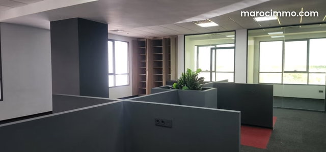 Plateau de bureau Nearshore 426 m² — 5