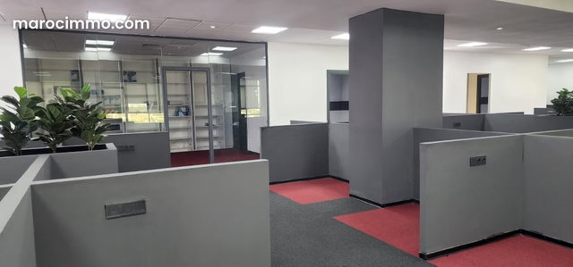 Plateau de bureau Nearshore 426 m² — 2