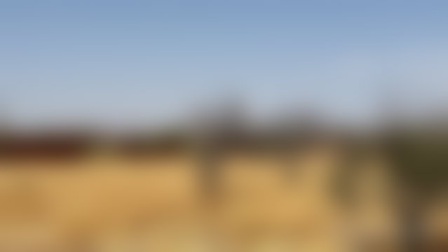 قطعة أرض 7000 م² للبيع بطريق فاس مراكش — 2