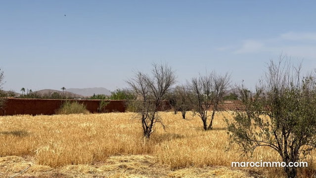 7000 m² Land Plot Titled 20 km from Marrakech — 2