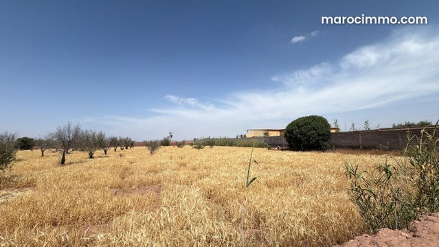 7000 m² Land Plot Titled 20 km from Marrakech — 4