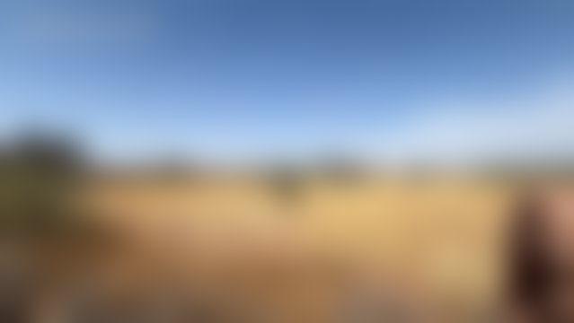 قطعة أرض 7000 م² للبيع بطريق فاس مراكش — 5