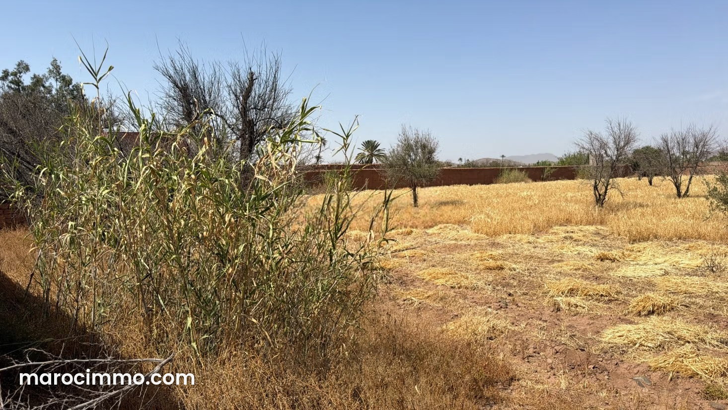 7,000 m² Plot on the Fes Road, Marrakech, Atlas Views — Marrakesh