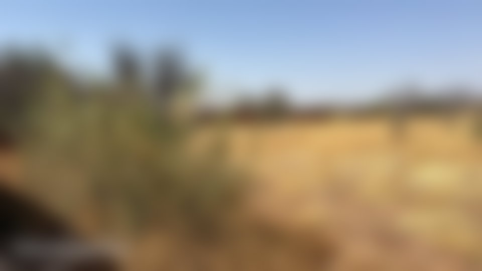 قطعة أرض 7000 م² للبيع بطريق فاس مراكش