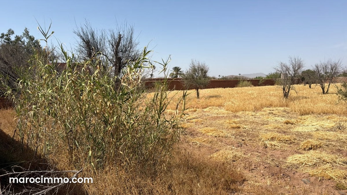 7000 m² Land Plot Titled 20 km from Marrakech