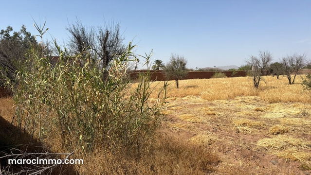 7000 m² Land Plot Titled 20 km from Marrakech — Marrakesh