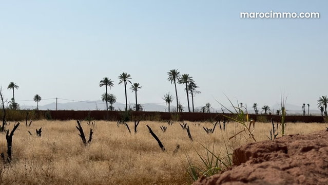 15,000 sqm Land Plot Titled 20 km from Marrakech — 4
