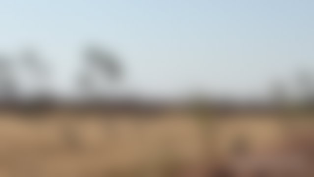 أرض 15000 م² بإطلالة الأطلس على طريق فاس في مراكش — 3